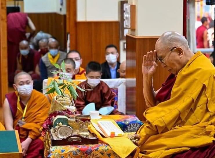 10-хан настай хүү 🙏🙏 амьтны үр ангирын зулзага. Их ачаа үүрэх нь дээ. Дөрөөнд нь сүү өргөе өө🙏🙏🙏.