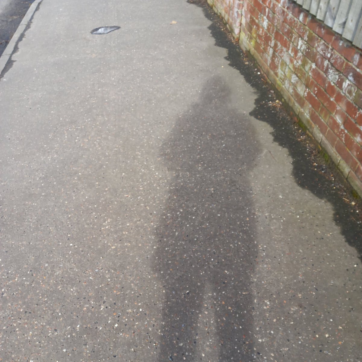 Steff Aquarone MP tweet media