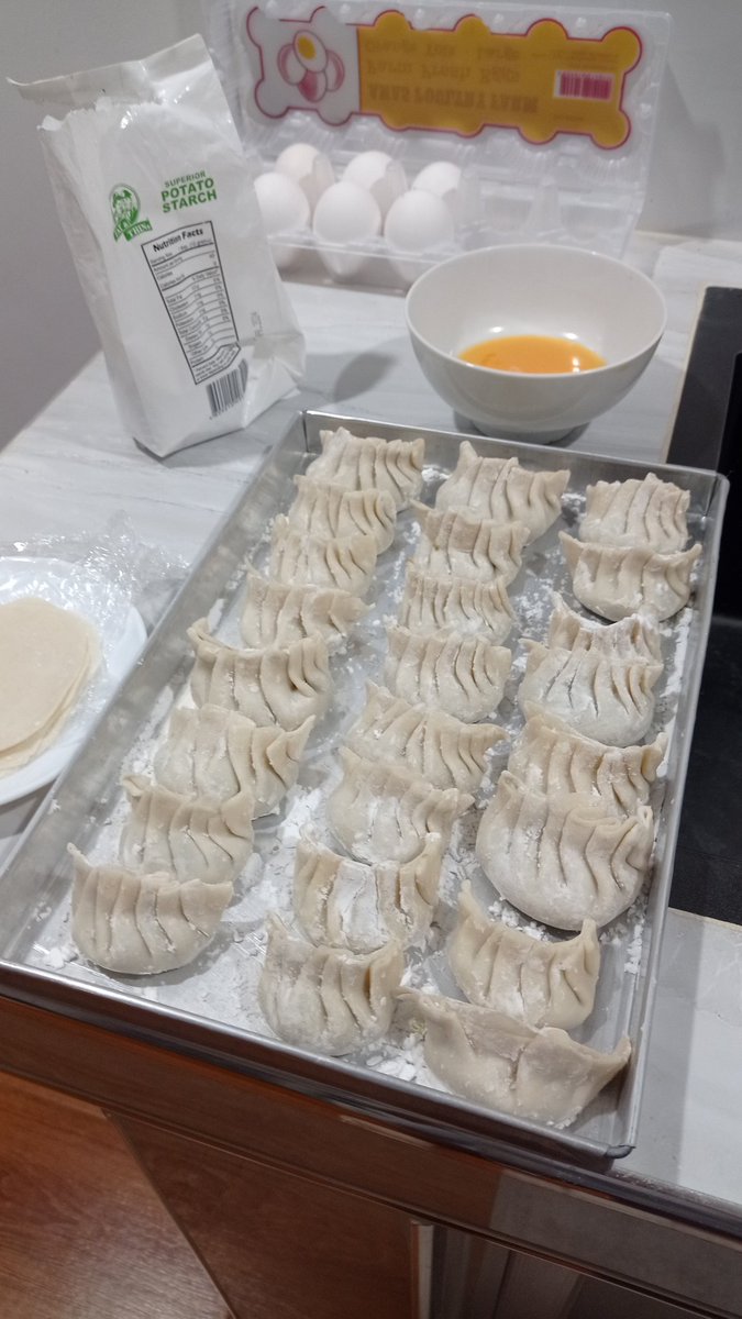 how many trays does it take to get good at making dumplings.... 🥹😭 homemade dough is easier to pleat but the rolling of the wrap is its own hurdle 🫠 am still proud that i made a tray full tho ☺️