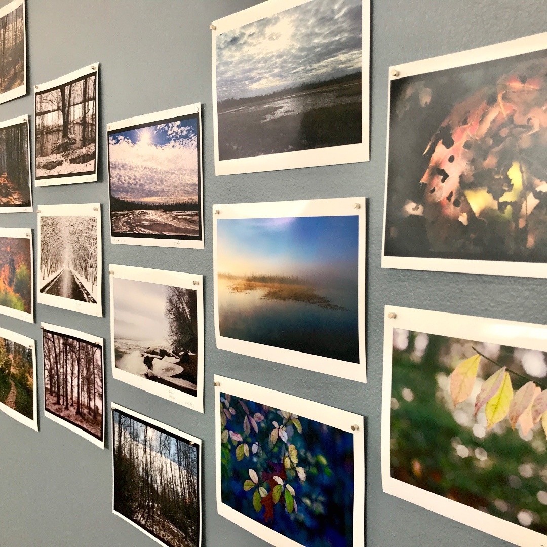 PiedmontArts's tweet photo. It's the last week to view the current exhibits! Plan your visit today. https://t.co/rpjHouEKb8
★ Freeman Vines | Hanging Tree Guitars
★ Rupe Dalton Retrospective
★ The World Beside the Rails
★ Photographs by Rocky Wall
#weekendfun #gotoamuseum #visitmartinsville https://t.co/53k9tqgipW
