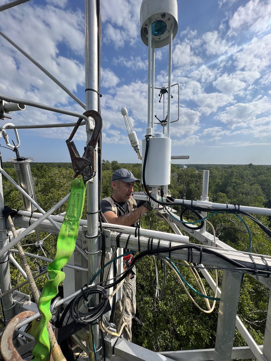 100 ft up in the air troubleshooting eddy flux sensors at our @fcelter SRS-6 mangrove site in the Everglades @EvergladesNPS. I never get tired of the amazing view of Shark River!