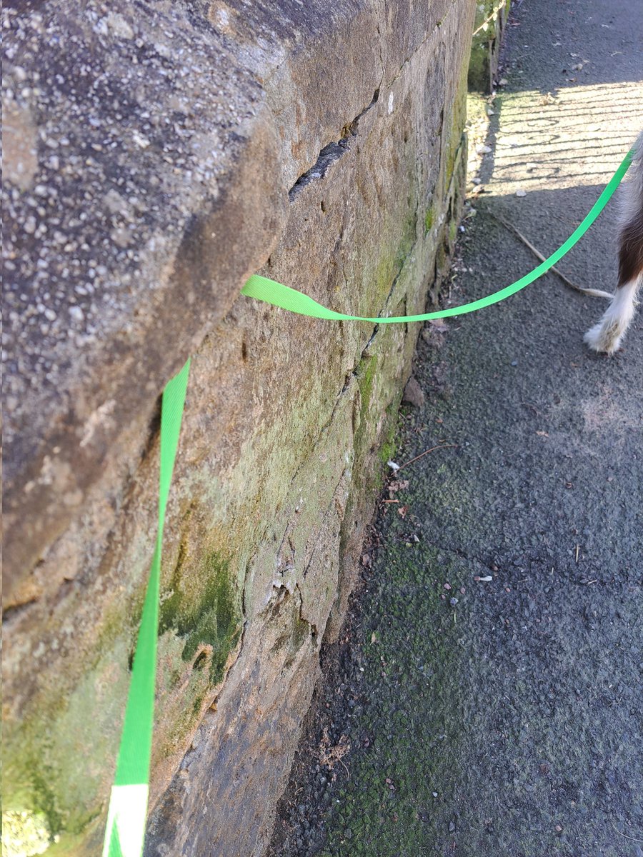 Milis53194556's tweet image. Out for a walk and I scooted round the corner and somehow my lead got jammed in the wall! Took her about 5 mins to free me. Wouldn&apos;t have this problem if she would hurry up! Fast walking is the best #puppyproblems