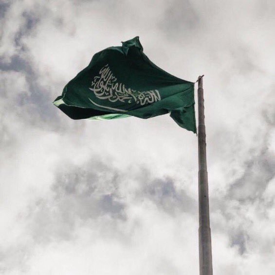 ahel99's tweet photo. كل عام ورايتنا راية وطن عظيم 💚🇸🇦
#يوم_العلم https://t.co/MRLw3OOcI4