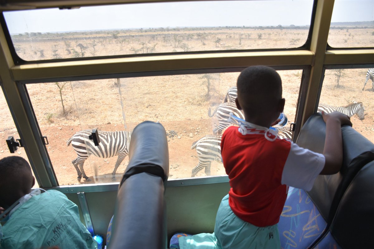 KNH_hospital's tweet image. KNH Paediatric Oncology patients from Wards 1E and 3D were treated to an exciting experience as they were taken to a game drive tour of Nairobi National Park courtesy of Mr. Steve Isaacs, a partner to the hospital. 
#KNHinakujali