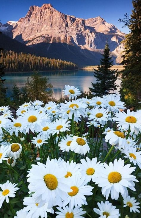 BeachcatTt's tweet photo. Happy Weekend! I pray you have a blessed day. https://t.co/u0fSsKr8WM