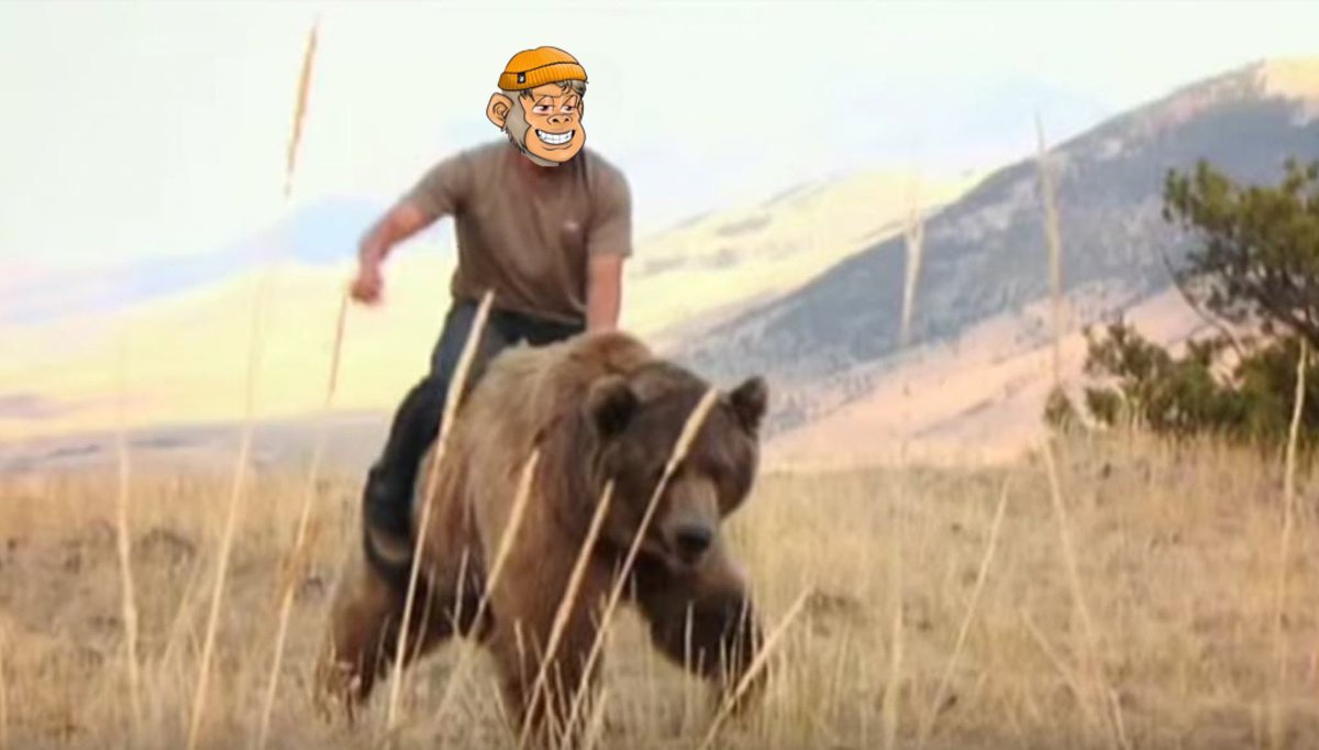 Evergreen_Jones's tweet photo. GM fam! Try not to let the bear get you down…instead, let’s jump on it’s back and ride this mf’er into the sunset. Hope you have awesome weekend. https://t.co/ReAAGvljWM
