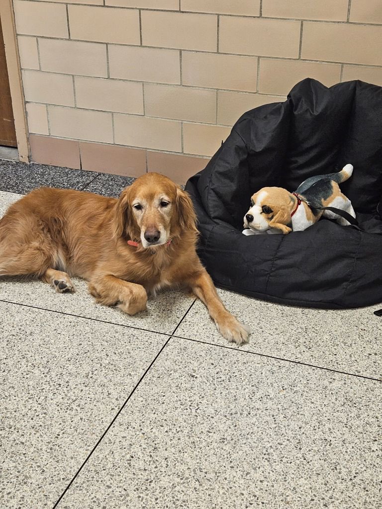 The students just love Dixie, our school therapy dog! Dixie’s job isn’t too “ruff”… she gets lots of pets and loving every day! (She’s in the middle of this big Dixie hug!)