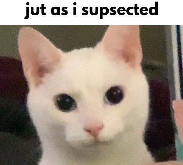 sangre🦦 tweet media