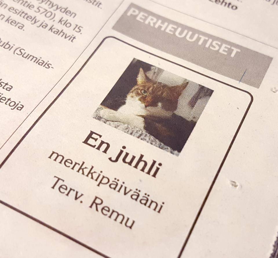 Ronan Browne tweet media