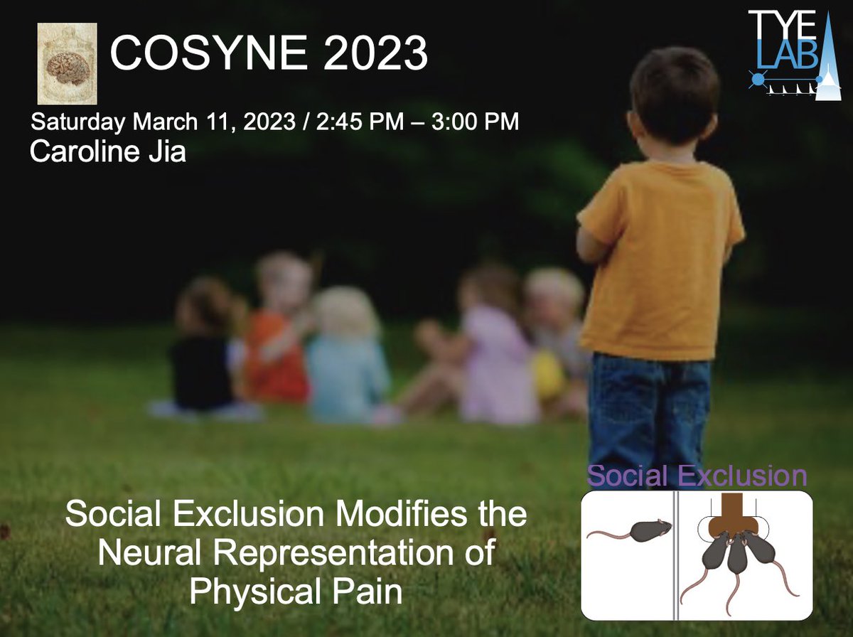 Super excited to give a talk at #cosyne2023. Tune in after lunch to learn about the #fomotask from the TyeLab and how socially painful experiences can modulate physical pain processing.