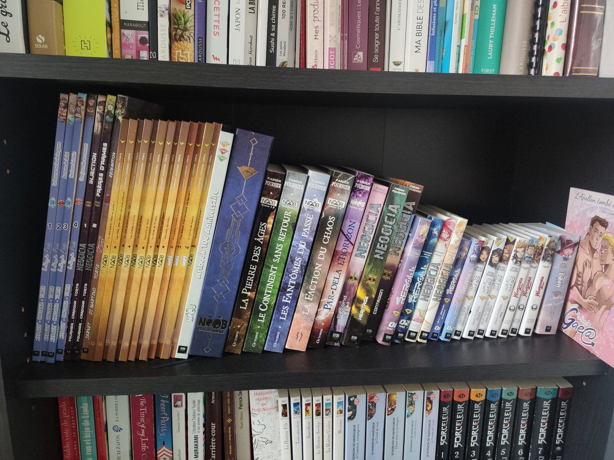 Flocaz's tweet photo. Salut @Olydri_Fournier ! Comment savoir s'il me manque quelque chose à ma bibliothèque ? Est ce qu'il existe un endroit qui recense tous les livres ? https://t.co/FgktnRlpCZ