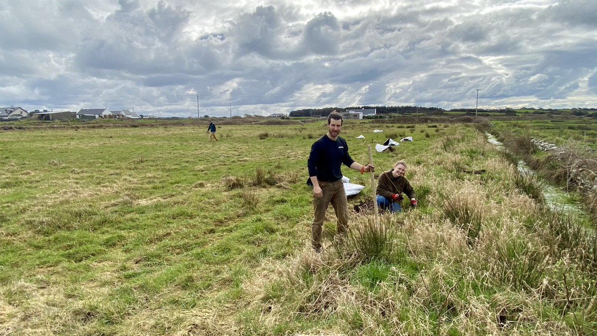francesblanch13's tweet photo. Thank you #hometree  Planted 1100 indigenous trees in Spanish Point.
For the next generation. West Clare. https://t.co/67TstBO4NW