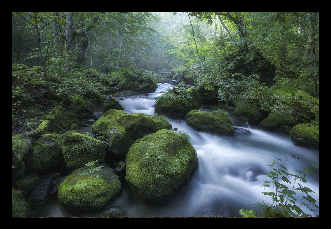 ６月に青森の奥入瀬渓流で風景写真教室やったら、みんな来るかな？