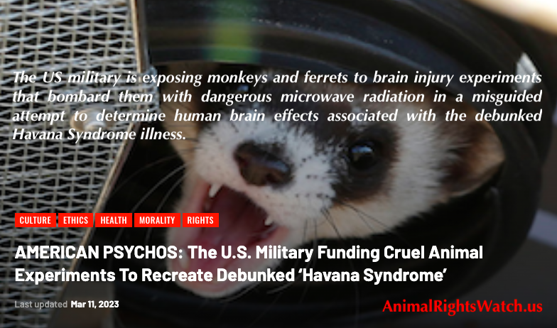 A_R_Watch's tweet photo. #AnimalRights #AnimalLiberation #AnimalJustice #AnimalWelfare #AnimalTesting #BanAnimalTesting #Speciesism #Wildlife #EmptyCages #EmptyTanks #Veganism #Vegan #GoVegan https://t.co/wLNdCK6oos