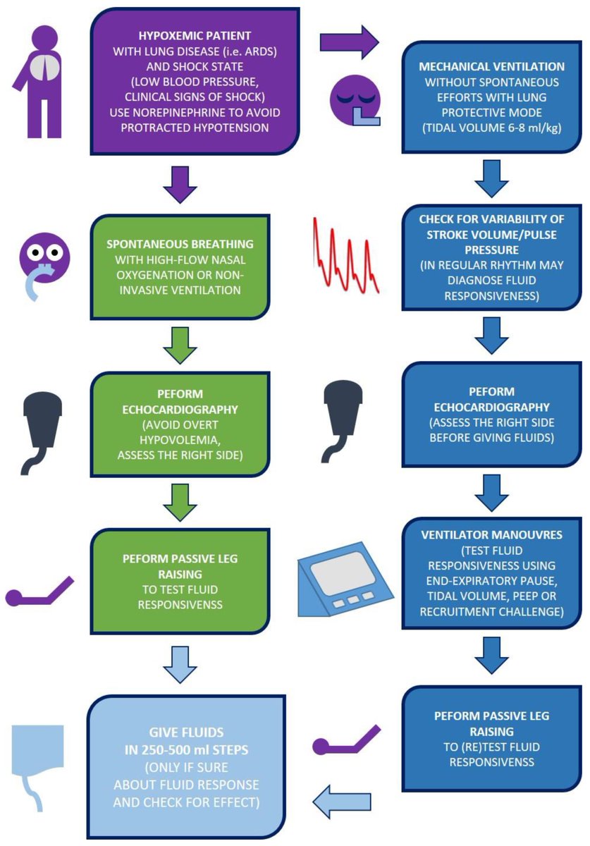 CritCareReviews's tweet photo. Individualizing Fluid Management in Patients with Acute Respiratory Distress Syndrome and with Reduced Lung Tissue Due to Surgery

CCR Journal Watch
https://t.co/Sp06oA6IDG https://t.co/jgYeFyQWLV