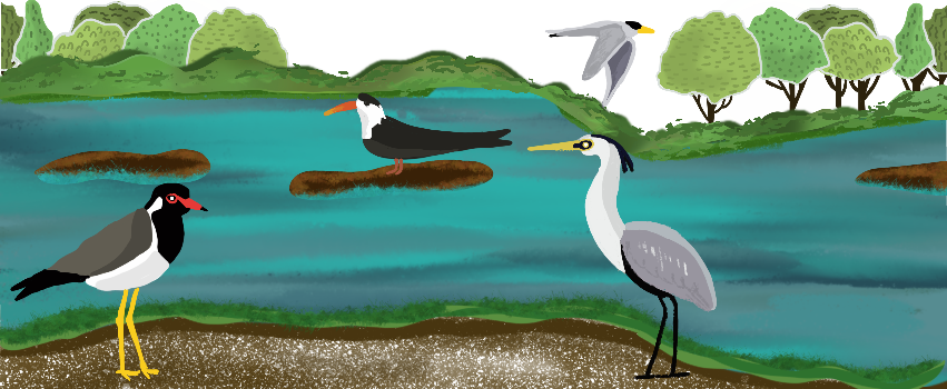 The March edition of our free monthly email newsletter, THE FLOCK, highlights river-dependent birds. Plus has sections on places, people, news, events & opportunities -- all to do with birds.

Do take a look, RT, & subscribe!

mailchi.mp/theflock.in/ri…

Art by @Rupsykhurana 
#birds