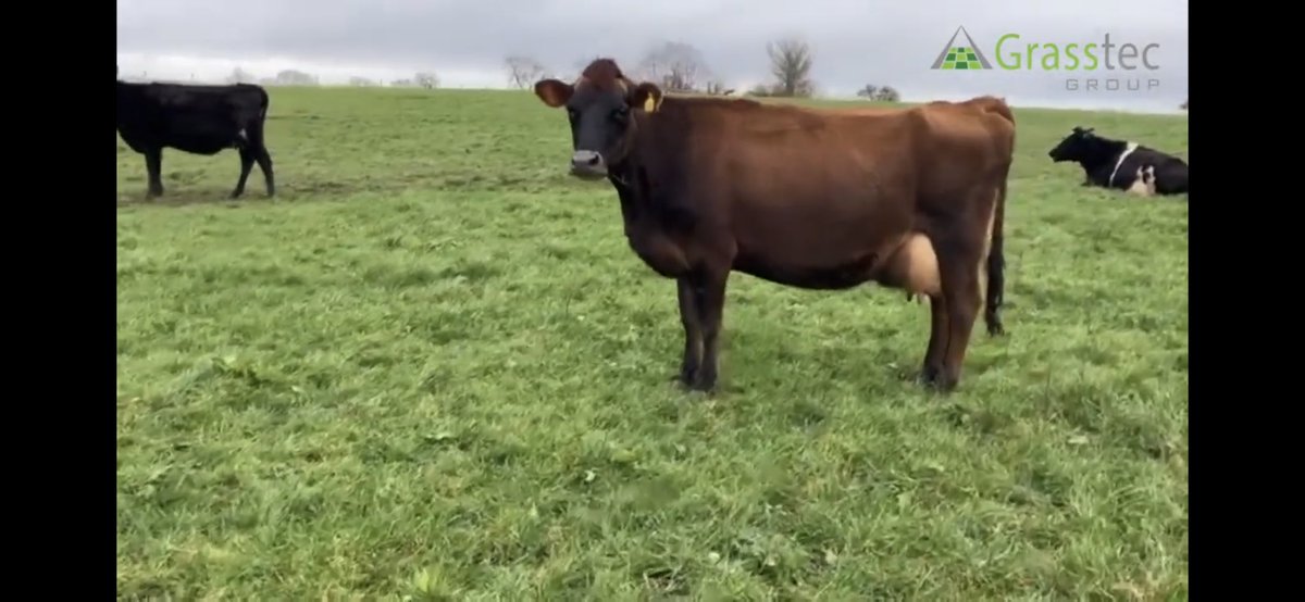 John Dennison tweet media