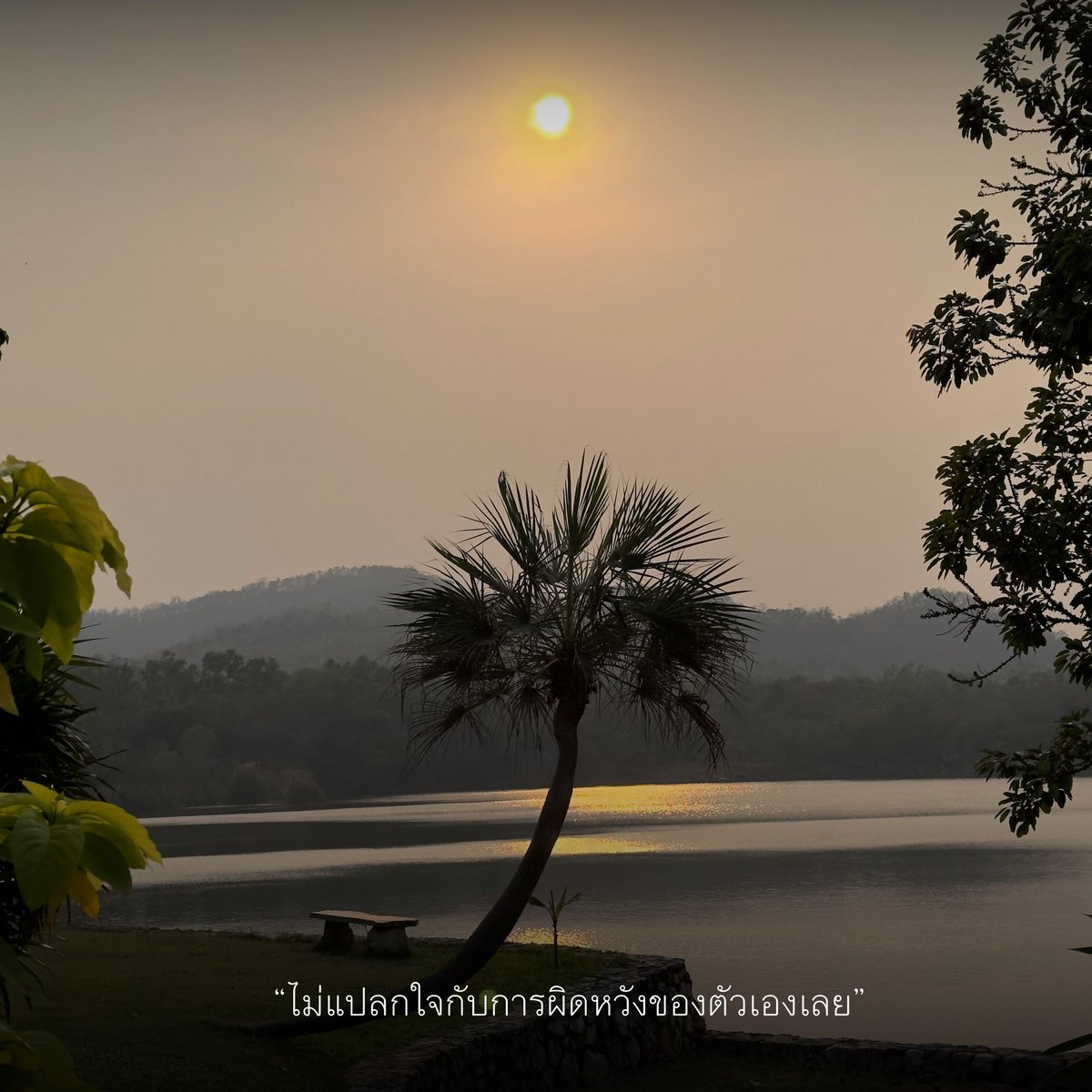 ถ้าสมหวังสิแปลก