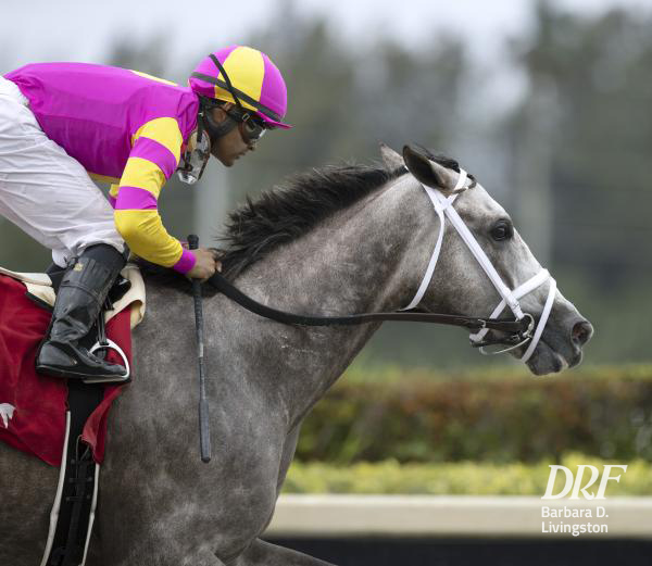 Daily Racing Form on Twitter "Trainer Todd Pletcher stands an