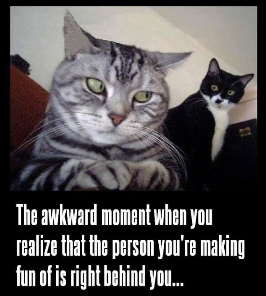 It Goes Down in the DM (@downinthedmpod) on Twitter photo 