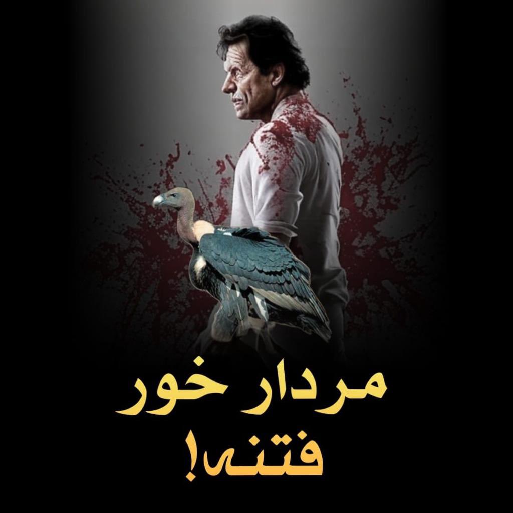 Sania Ashiq tweet media