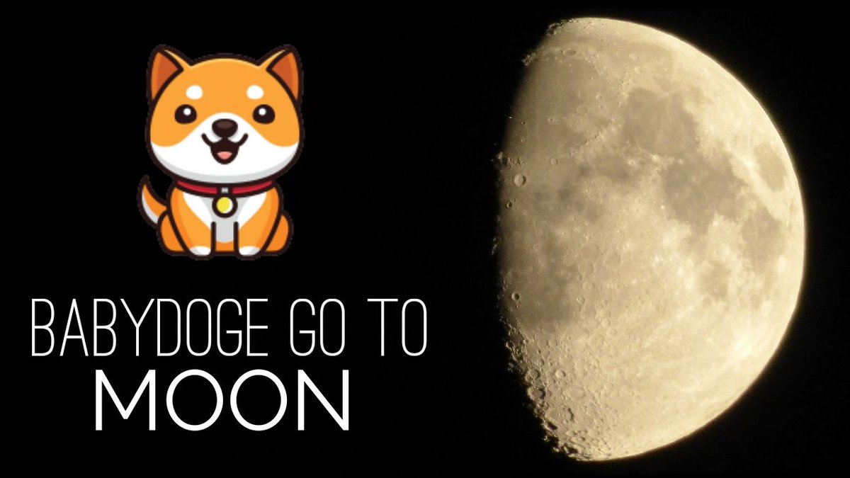Taco0316's tweet image. #Babydoge to the moon 🚀🚀🚀