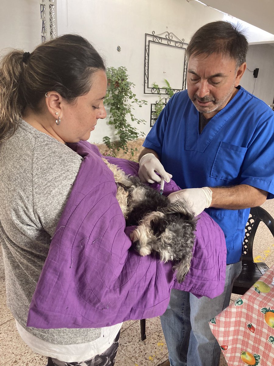 danietcheverry2's tweet photo. Del 6 al 10 de marzo el móvil de Castracion y vacunación antirrabica llegó y se instaló en el barrio Ntra. Señora del Carmen, la tenencia responsable es una prioridad para el @GobCiudadSalta Gestión @RomeroBettina #ZonaOeste https://t.co/hoMhYI3sGR