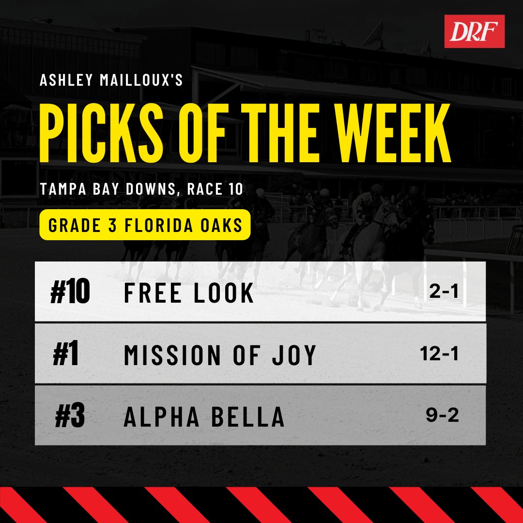 Daily Racing Form on Twitter: