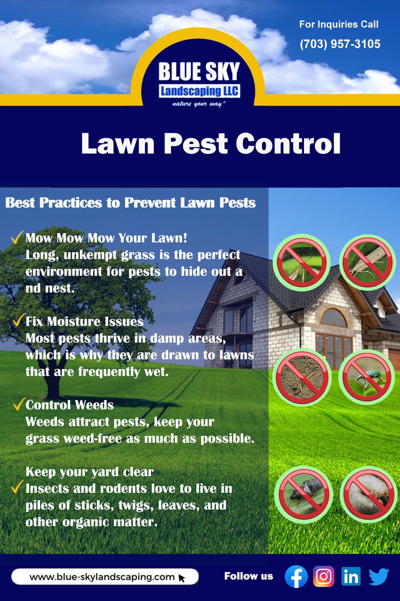 Blue Sky Landscaping offers  a holistic approach to pest control that focuses on the long-term prevention and management of pests rather than just treating symptoms.

Contact us now at (703) 957-3105
#lawncare #pestcontrol #workinloudoun #landscaping