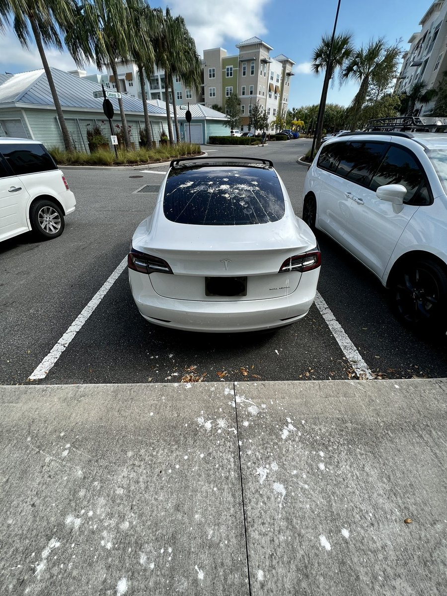 Phuck3dd's tweet photo. Haters always dumping on #tesla

Last month my portfolio.

This month my car.

Really getting the shit end of the stick @elonmusk 😂 https://t.co/RJ0hssYrbD