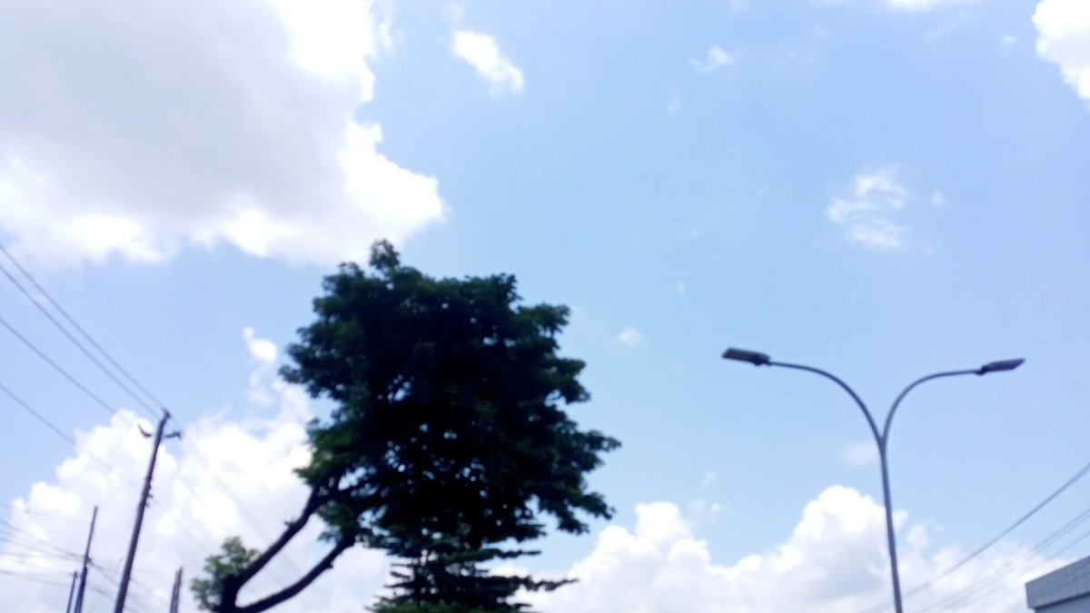 succesalwys's tweet image. ❱ today’s dump :˚♡ 1103&apos;23 : ·˚
#studycafe #studydate