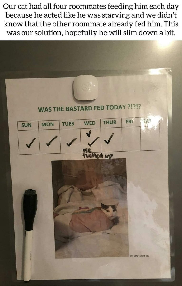 WholesomeMemes tweet media