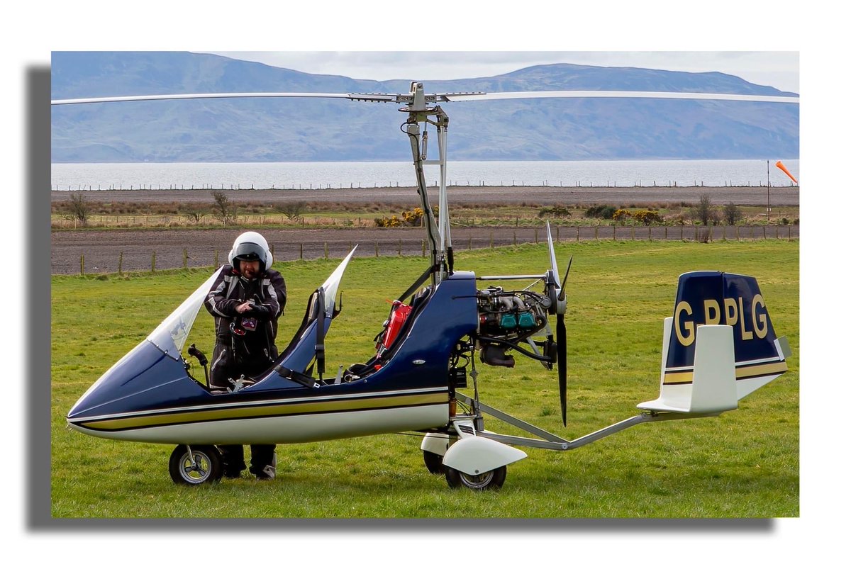 Buteographygirl tweet media