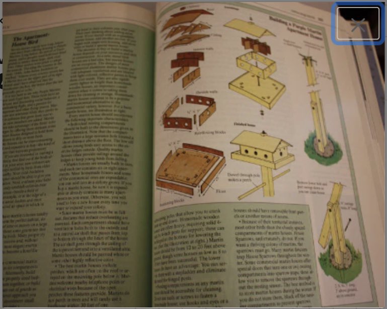 emmasattic98's tweet image. Vintage "The Birds Around Us" Hardback Book by EmmasAtticTreasures etsy.me/3J22eKE via @Etsy #Hardback #TheBirdsAroundUs #ReferenceBook #Nature