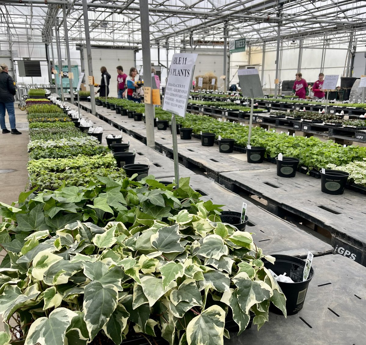 Moss Basket Days 2023 is underway!!  This is one of the best events of the year!  Walk-ins are welcome, come join the fun!

#shoppahlsmarket #pahlsmarket #timetopahlinate