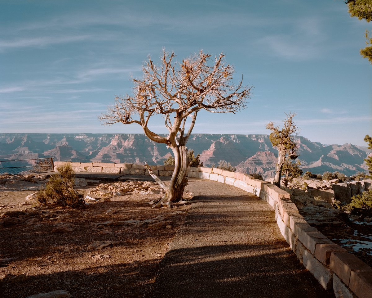 takeuchifilm's tweet photo. Grand Canyon on film https://t.co/CrarPCKv7o