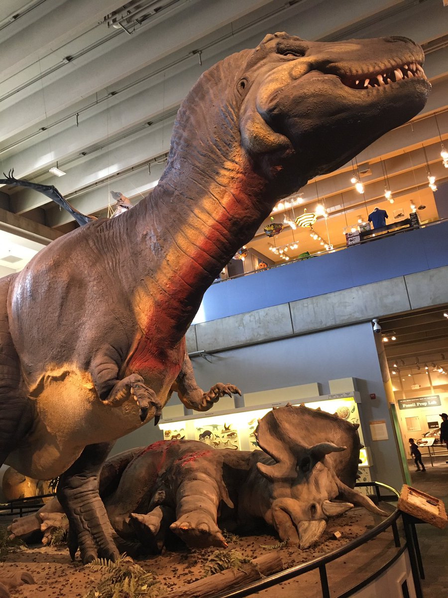 SteveBrusatte's tweet photo. It’s kitschy. It’s gory. I’ll always love our dinosaurs @SUEtheTrex &amp; @JaneTheRex across the state line in Illinois best. But come on, who can resist the charm of this classic @STLScienceCtr?! https://t.co/XeqeTTmr74