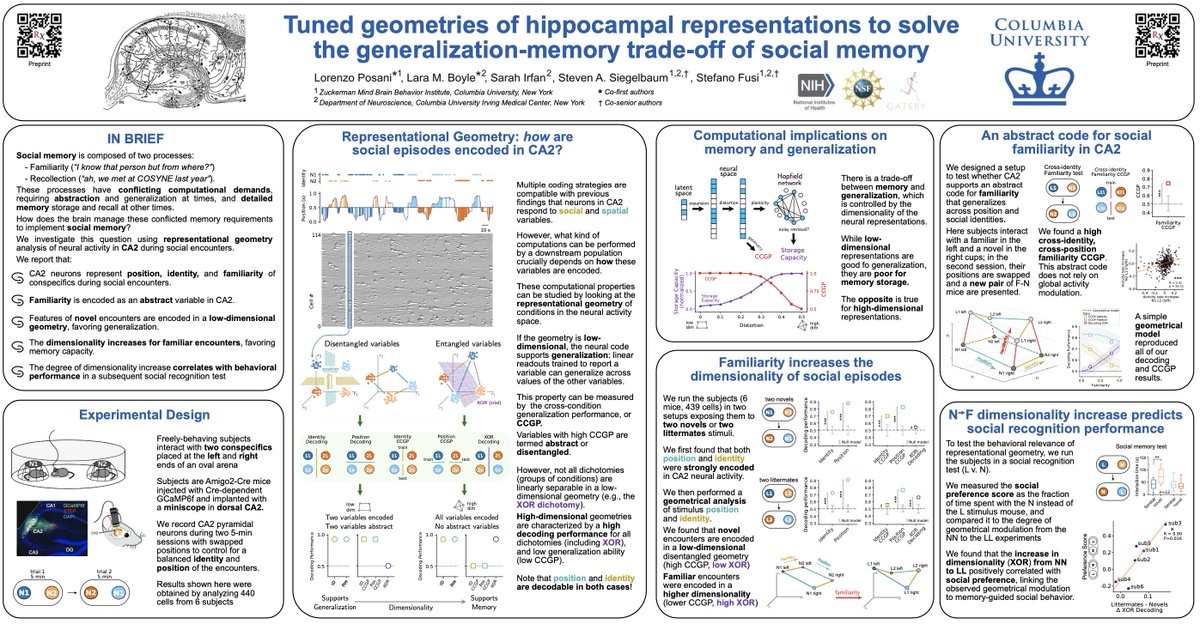 Before hitting the dance floor 💃🏽 get your kicks on poster 66🎙️tonight @ #cosyne23! I'll present my work on how the hippocampus can use different representational geometries to navigate the memory vs. generalization trade-off for social memory!
