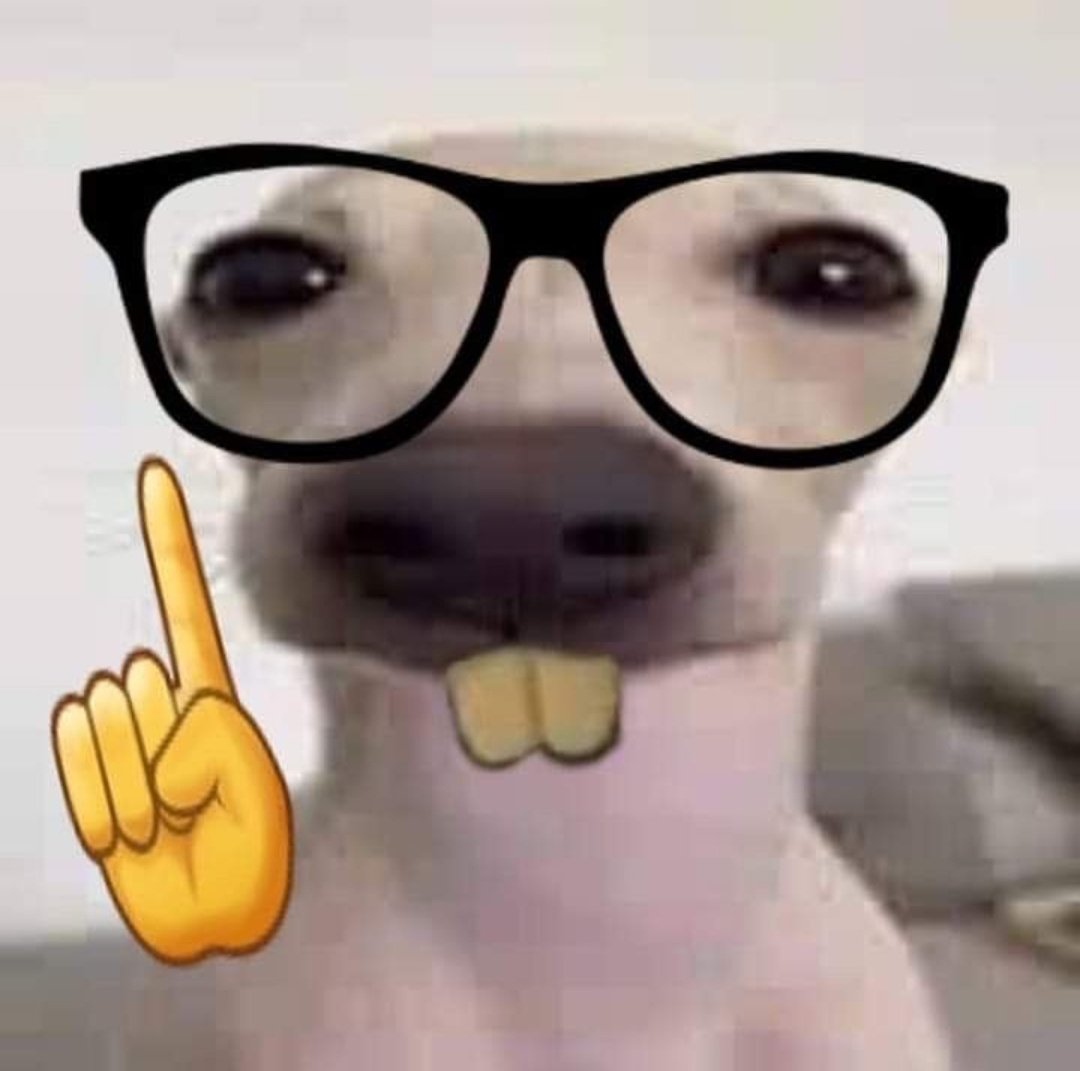 Yellow13Dog's tweet photo. @Rubiu5 Rubiu rubiu yo quiero participar https://t.co/2NNipIMQZM