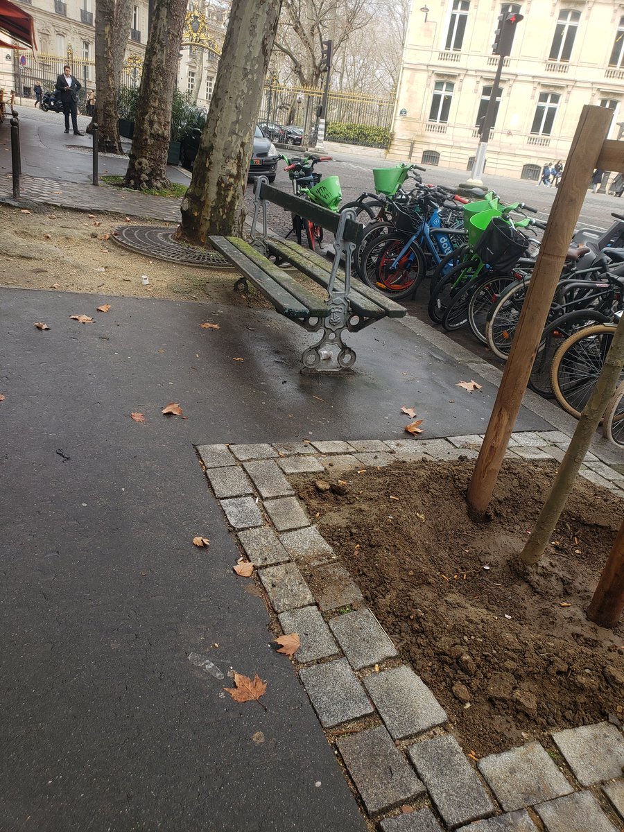 Quelle harmonie ! 4 arbres qui se suivent et 4 pieds d'arbre différents : qui dit mieux ? Sans oublier un banc non entretenu au milieu... #saccageparis