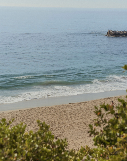 LBHonPCH's tweet photo. Peeking through is the ocean blue I @arielraee
#lagunabeach #lagunaviews #visitlaguna #orangecounty #coastalcalifornia #lifeintheoc #pacificviews #california https://t.co/ZMOMmiiO43