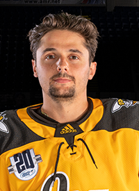 Player signing by <a href="/GoHeartlanders/">Iowa Heartlanders</a>: F Nick Cardelli (11G &amp; 11A in 31 GP w/ <a href="/AIC_Hockey/">AIC Hockey</a> this season).