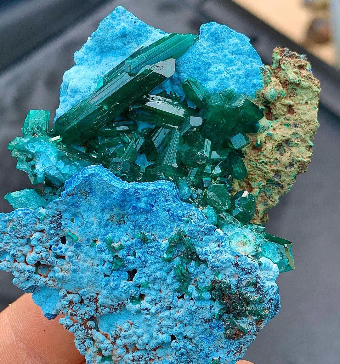 Gorgeous dioptase crystals with chrysocolla Congo

Credit: Gmineral/IG 

#Minerals #crystals