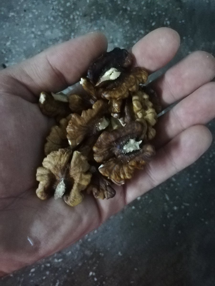 sadece gerçek gurmeler cevizin kararmışını yer