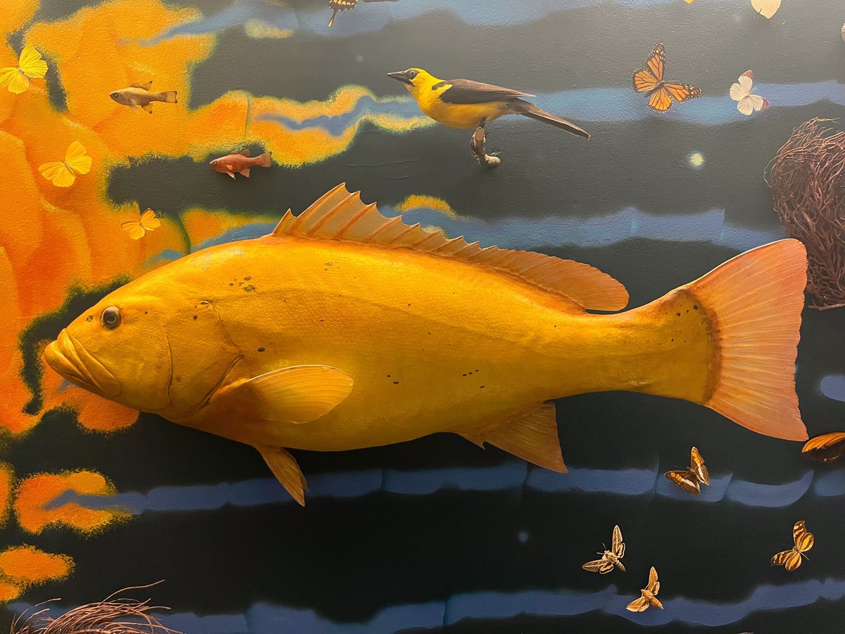 Field Museum on Twitter: 