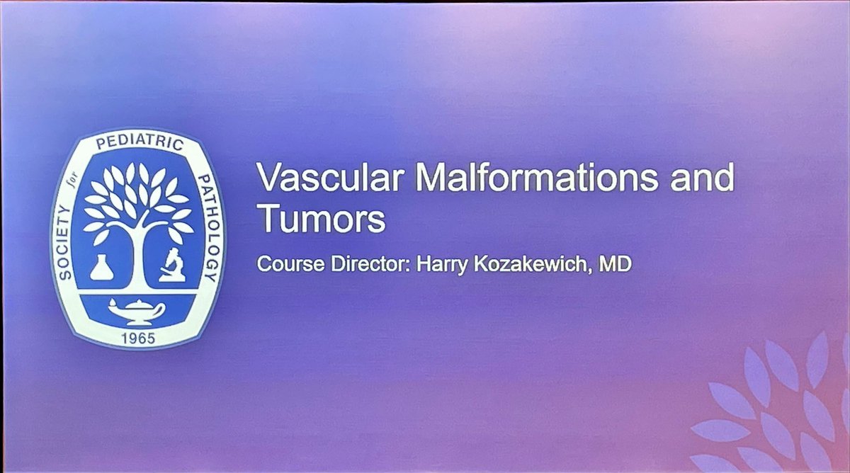 SocPediPath's tweet photo. Up next at #SPPspring2023: Vascular Malformations and Tumors Symposium presented by Harry Kozakewich, MD, Denise Adams, MD, Rush Chewning, MD, Paula North, MD, PhD, Arin Greene, MD, MMSc, Kyle Kurek, MD, Alyaa Al-ibraheemi, MD (@AlyaaIbraheemi) Anita Gupta, MD. #PediPath https://t.co/A77xfIUEqF
