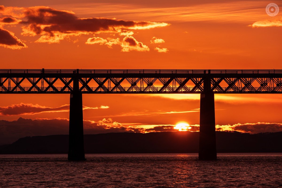 Dundee Culture tweet media