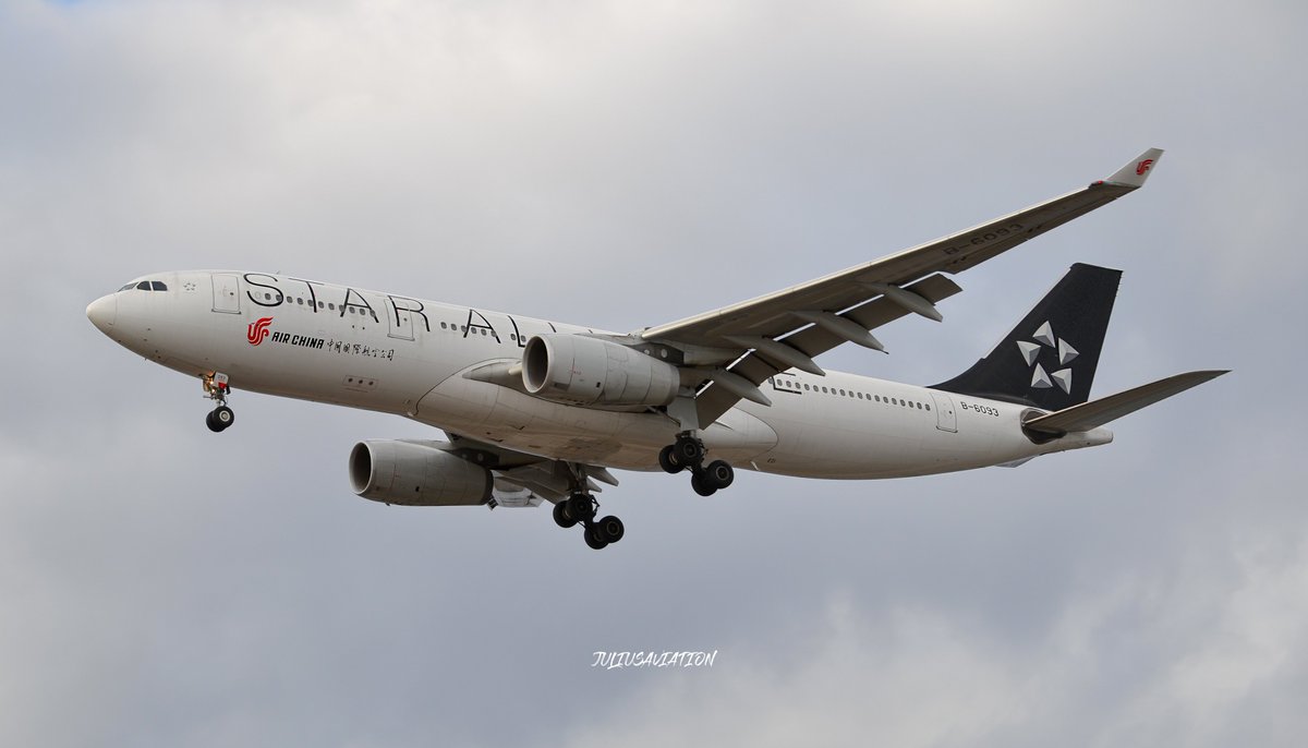 Y8shi🌴 tweet media