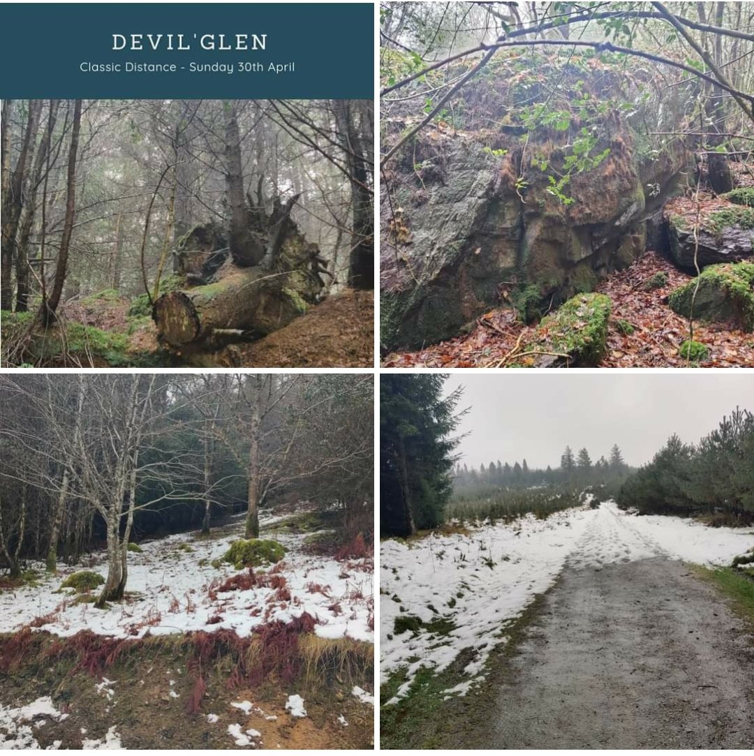 Our planning team were out in force today at the Classic Distance location!
Aptly named, Devil's Glen was looking devilish in the snow and mist this morning!
Check out Instagram for the full story!
#IOC2023☘️ 
#orienteering
#orienteeringholidays 
#familysport 
#sport4all
#joinus