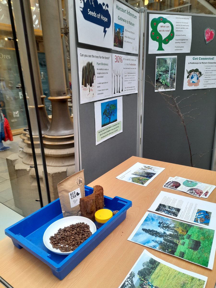 Gateway2Nature's tweet photo. Super time at #SuperScienceSaturday - although had to compete with a model of a dodo! Lots of people interested to meet the Chichibu Birch, wonder at Redwoods, attempt our threatened species challenge, &amp; make helicopter seeds.
#ConnectedPlanet #SeedsOfHope @HeritageFundUK https://t.co/o1bKNWK2re